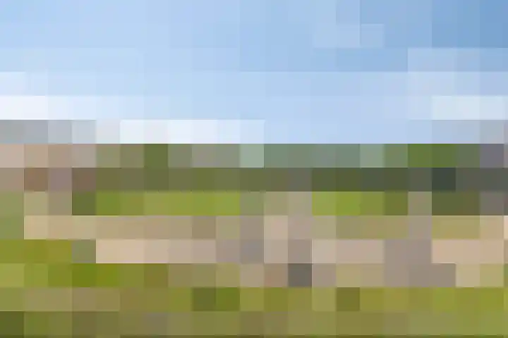 Serenadelaan 81 Barendrecht thumbnail 31