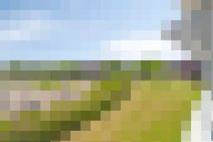 Serenadelaan 81 Barendrecht thumbnail 33