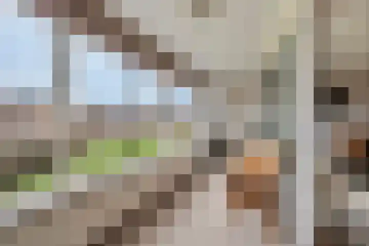 Serenadelaan 85 Barendrecht thumbnail 5