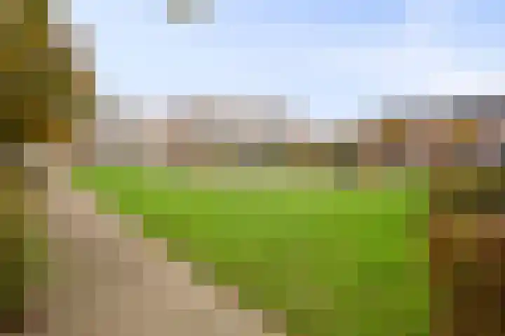 Serenadelaan 91 Barendrecht thumbnail 22