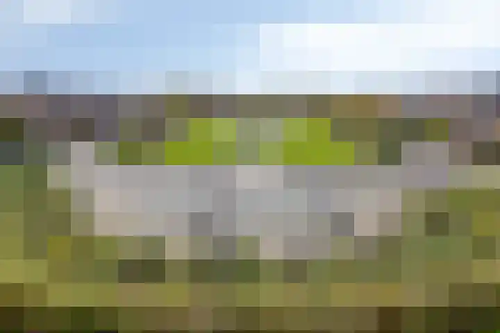 Serenadelaan 91 Barendrecht thumbnail 23
