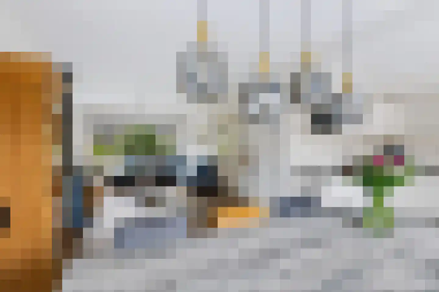 Serenadestraat 10 Apeldoorn thumbnail 13