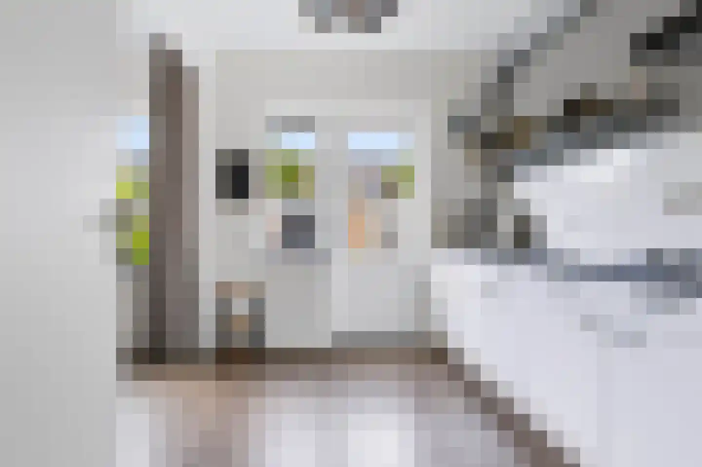 Serenadestraat 17 Apeldoorn thumbnail 15