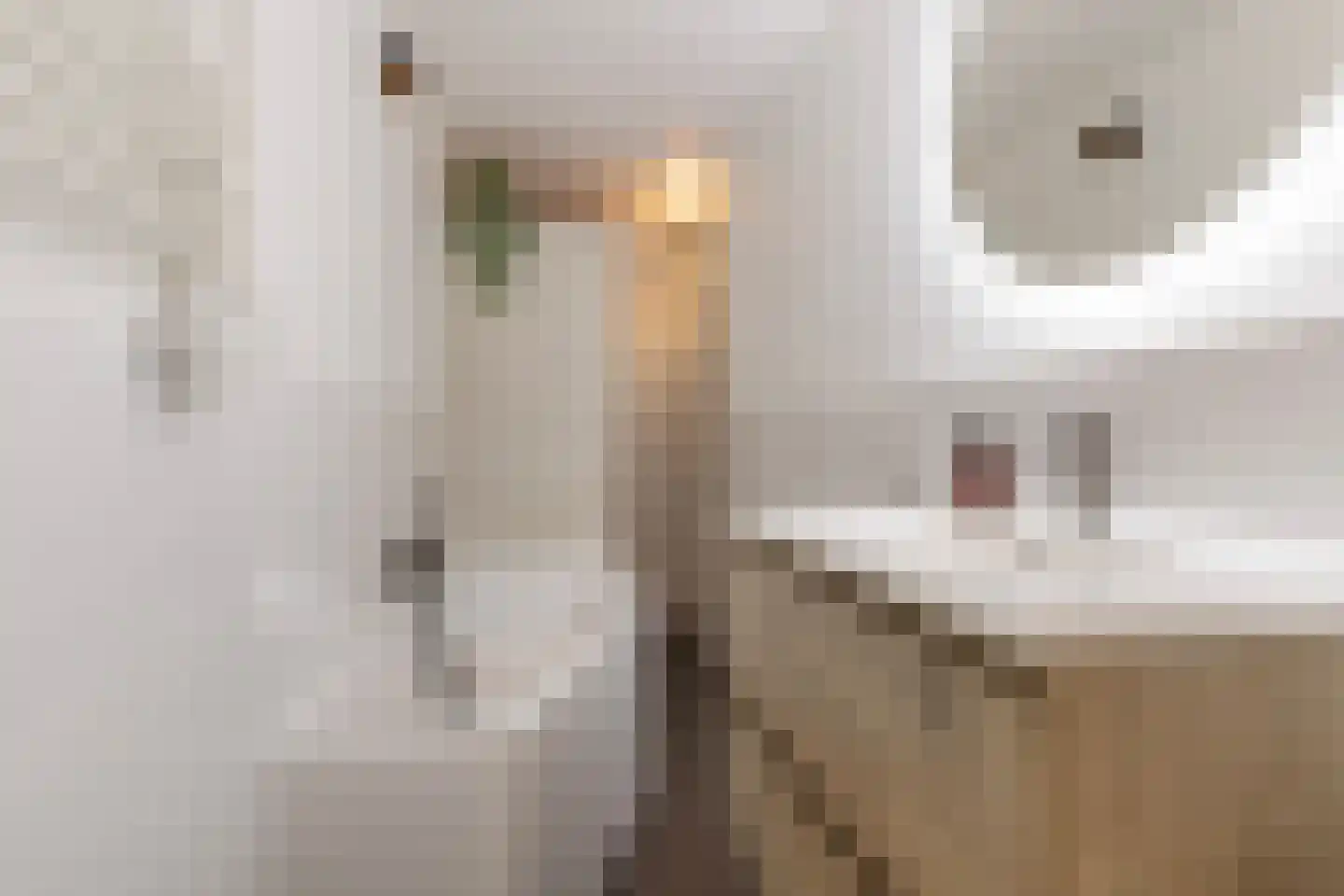 Serenadestraat 21 Apeldoorn thumbnail 4