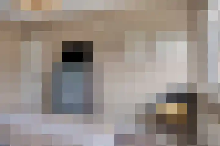 Serenadestraat 25 Venray thumbnail 22