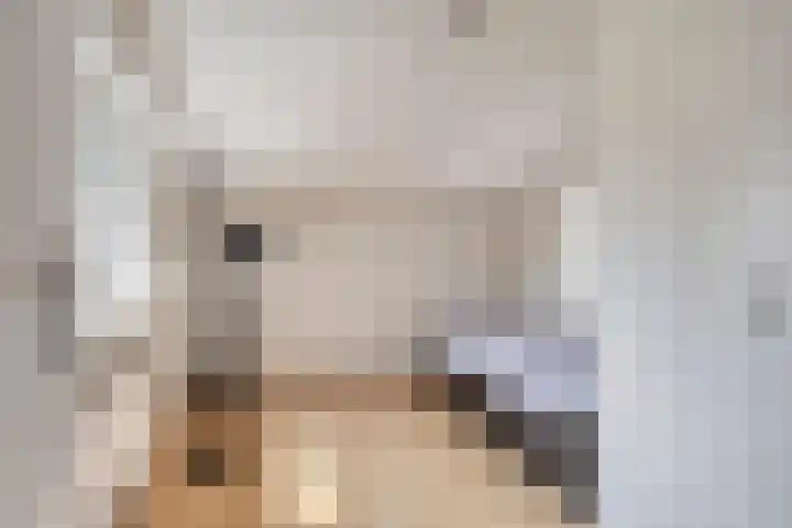 Serenadestraat 25 Venray thumbnail 23