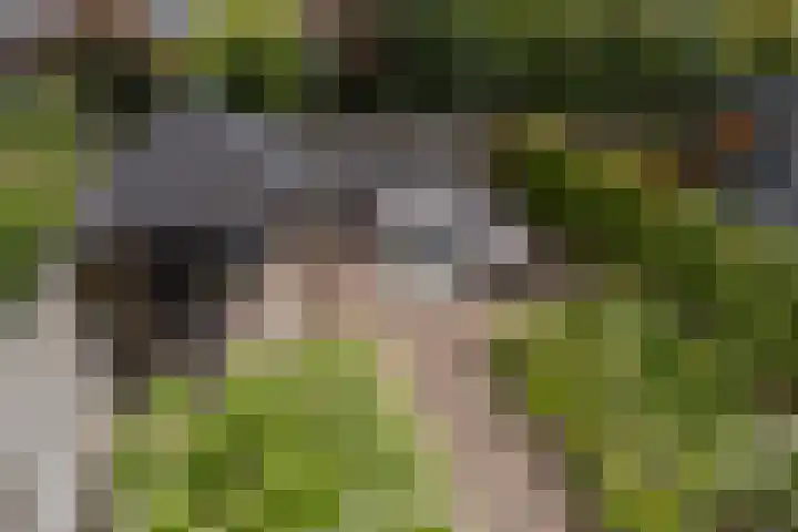 Serenadestraat 25 Venray thumbnail 32