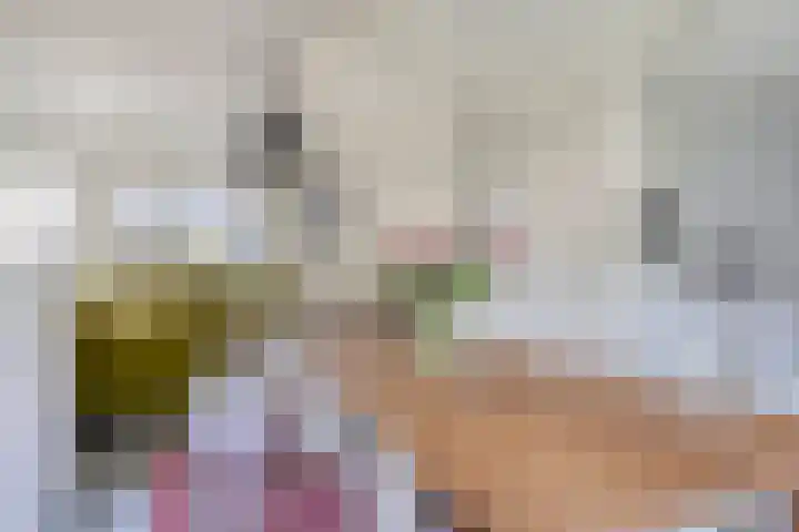 Serenadestraat 25 Venray thumbnail 5