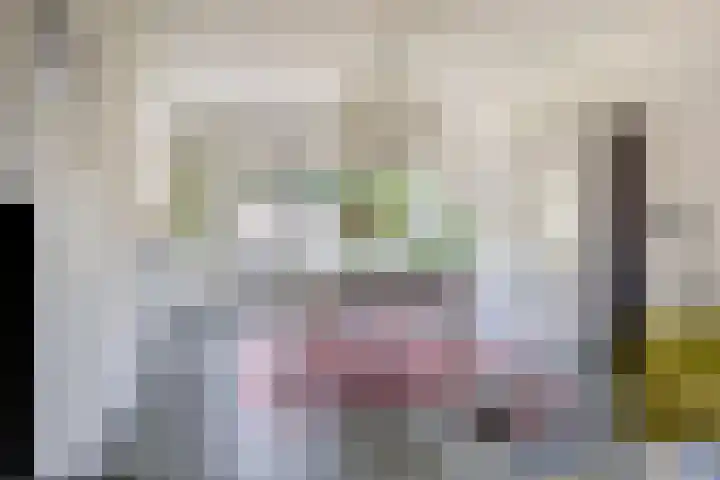 Serenadestraat 25 Venray thumbnail 7