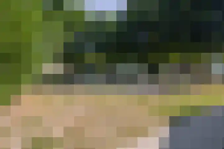 Serenadestraat 57 Venray thumbnail 31