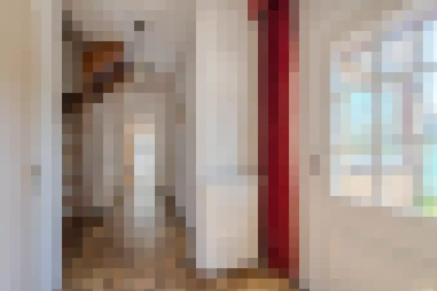 Serenadestraat 62 Venray thumbnail 5