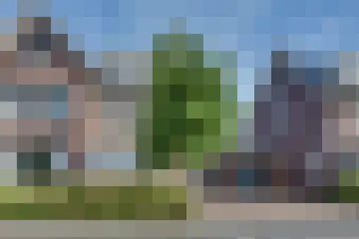 Serenadeweg 4 Rosmalen thumbnail 38
