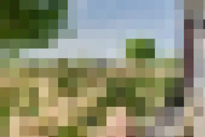 Serenadeweg 4 Rosmalen thumbnail 39