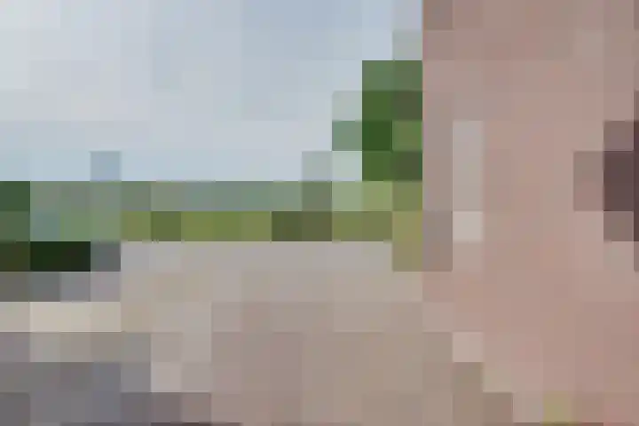 Serenadeweg 4 Rosmalen thumbnail 41