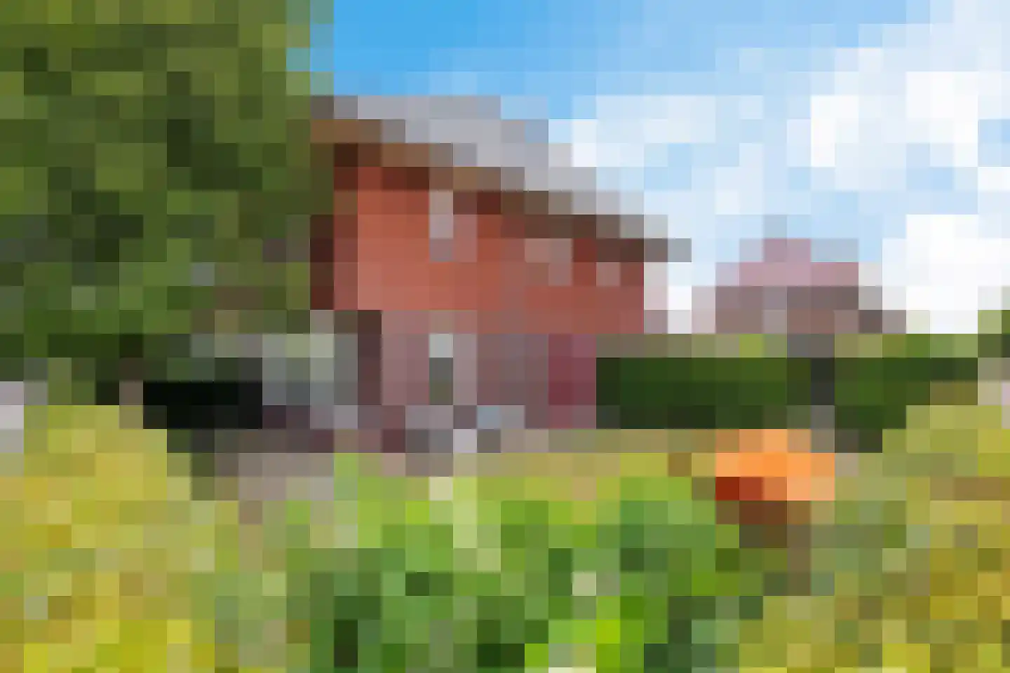 Sergeant 2 Heerenveen thumbnail 4