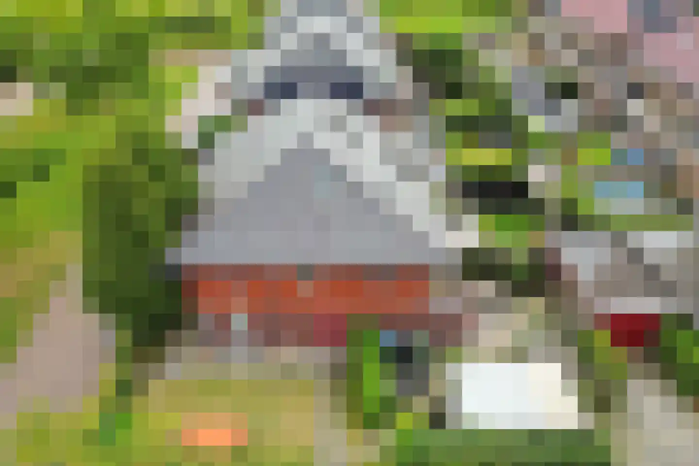 Sergeant 2 Heerenveen thumbnail 42