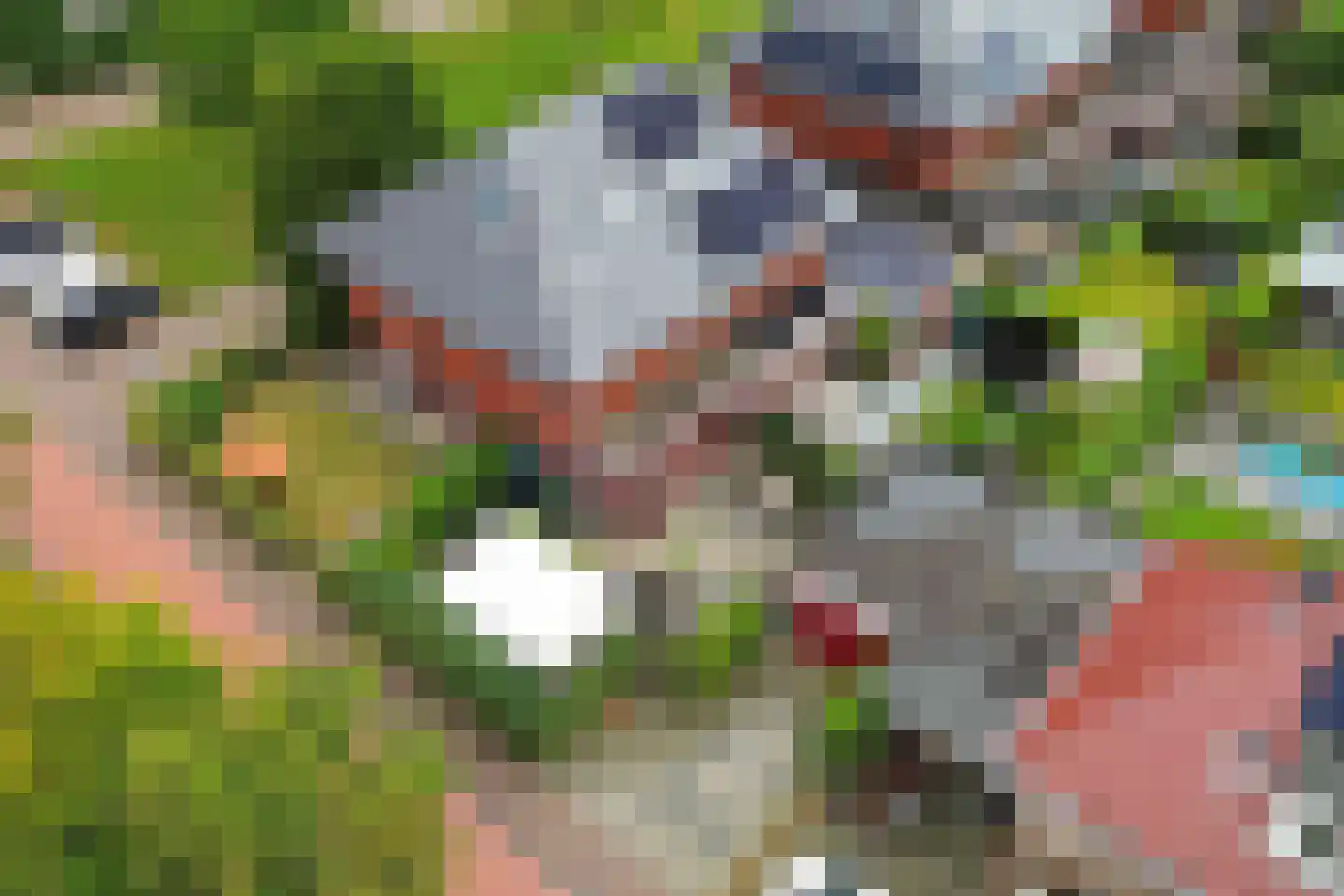 Sergeant 2 Heerenveen thumbnail 43