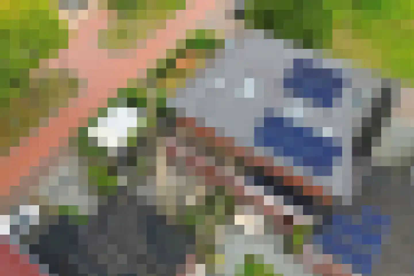 Sergeant 2 Heerenveen thumbnail 44