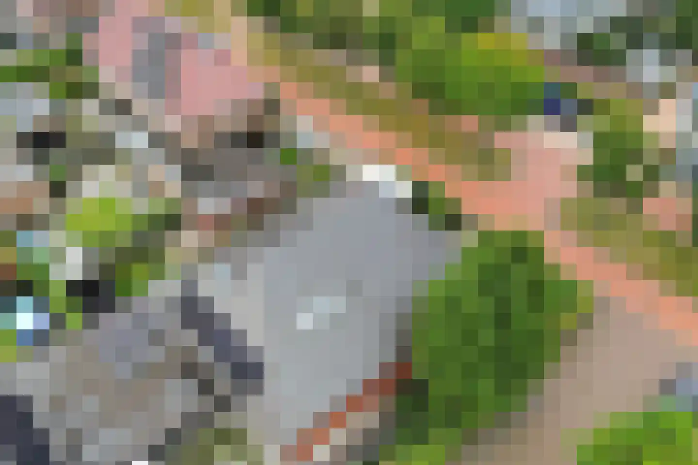 Sergeant 2 Heerenveen thumbnail 45