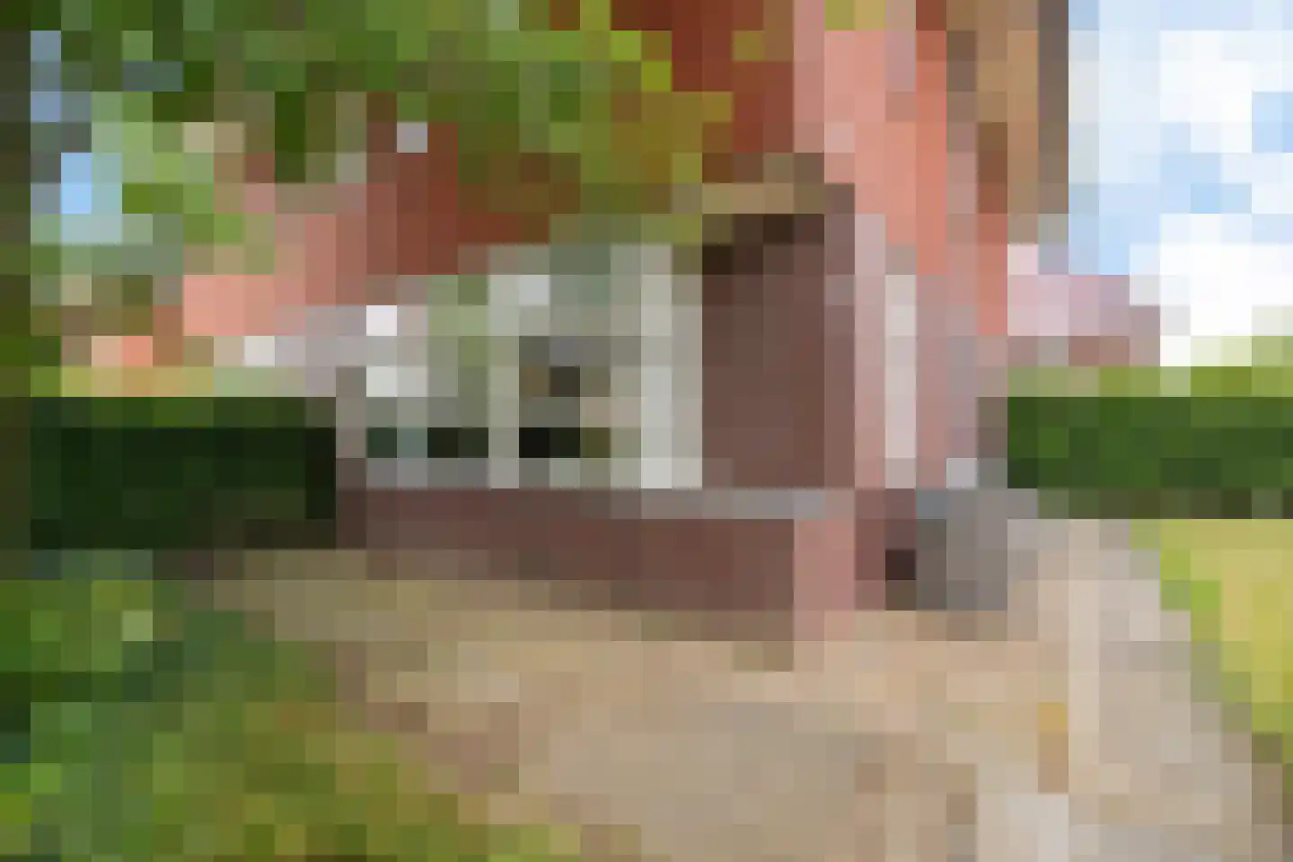 Sergeant 2 Heerenveen thumbnail 6