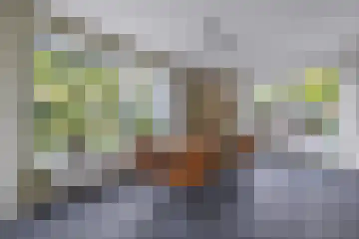 Sergeant 24 Steenwijk thumbnail 12