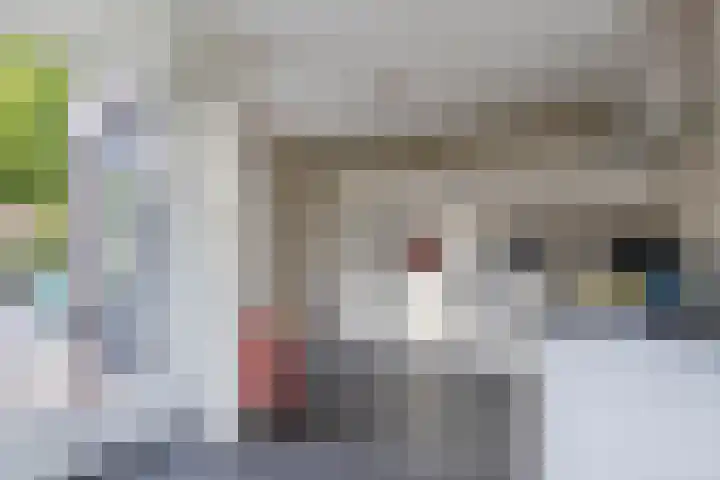 Sergeant 24 Steenwijk thumbnail 13