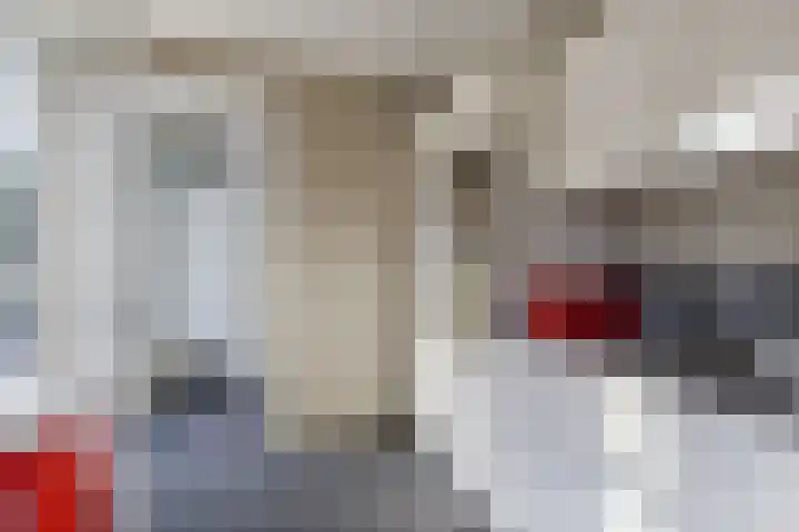Sergeant 24 Steenwijk thumbnail 15