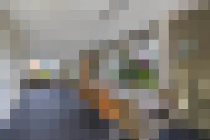 Sergeant 24 Steenwijk thumbnail 19
