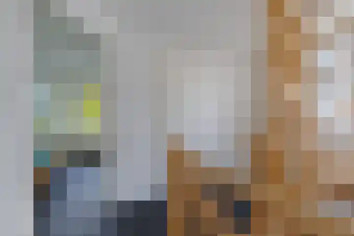 Sergeant 24 Steenwijk thumbnail 20