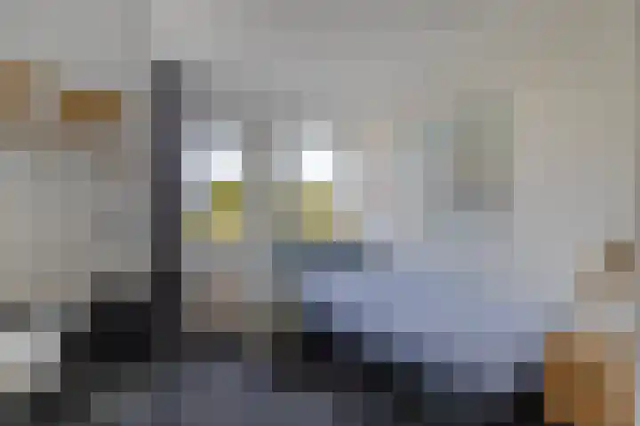Sergeant 24 Steenwijk thumbnail 24