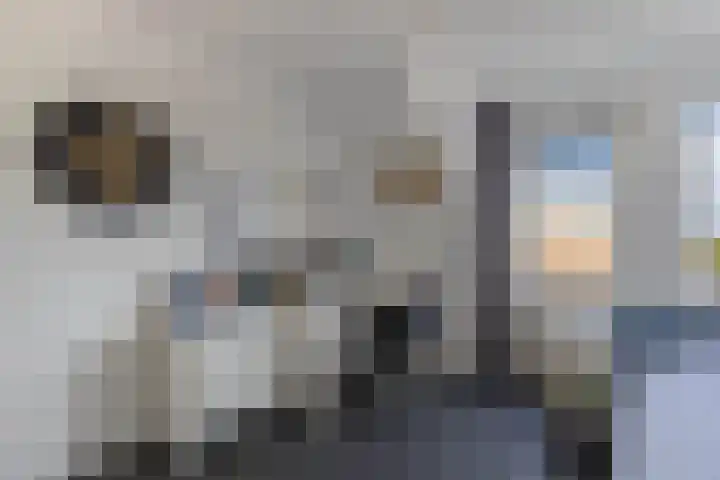 Sergeant 24 Steenwijk thumbnail 25