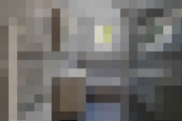 Sergeant 24 Steenwijk thumbnail 26
