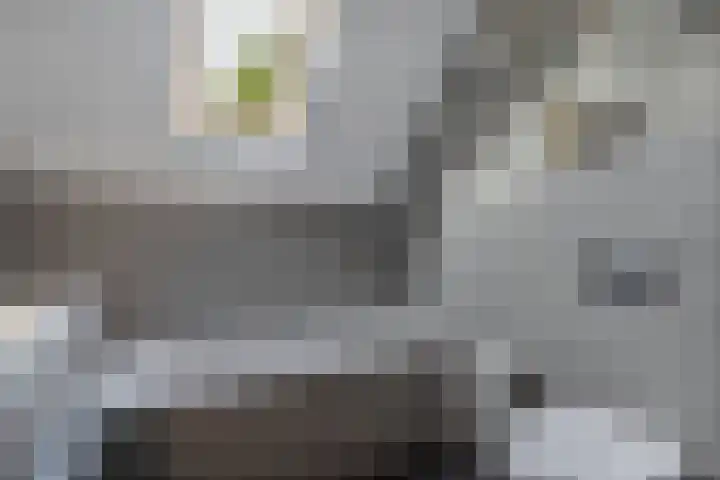 Sergeant 24 Steenwijk thumbnail 27