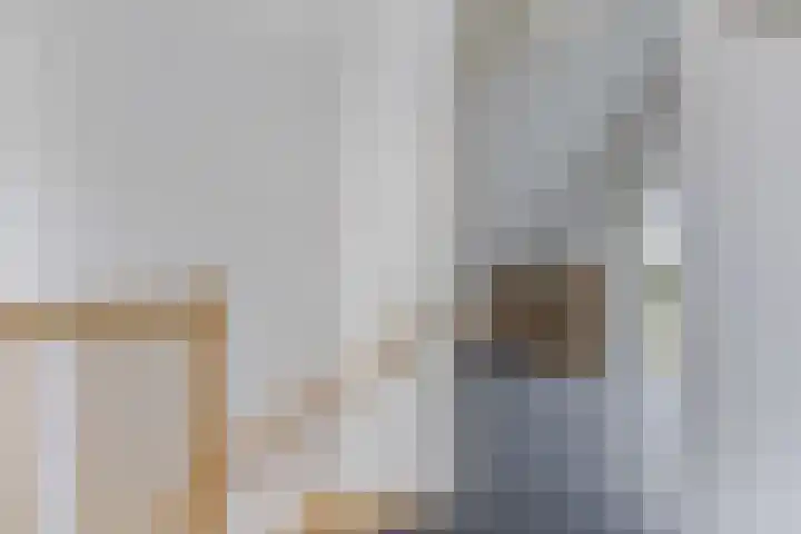 Sergeant 24 Steenwijk thumbnail 33