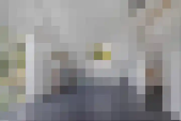 Sergeant 24 Steenwijk thumbnail 36