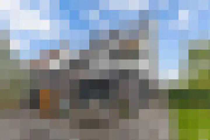 Sergeant 24 Steenwijk thumbnail 37