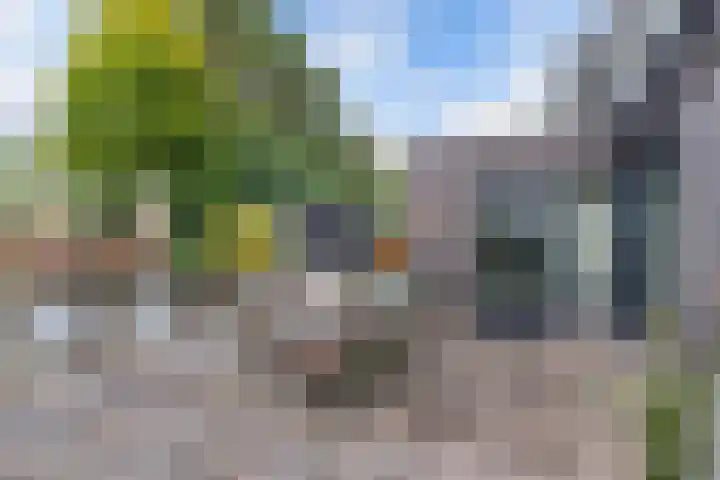 Sergeant 24 Steenwijk thumbnail 38
