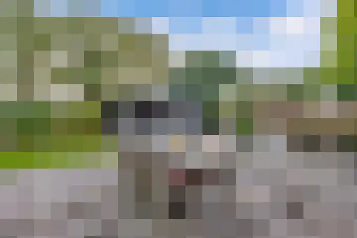 Sergeant 24 Steenwijk thumbnail 39