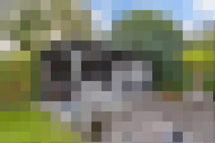 Sergeant 24 Steenwijk thumbnail 42