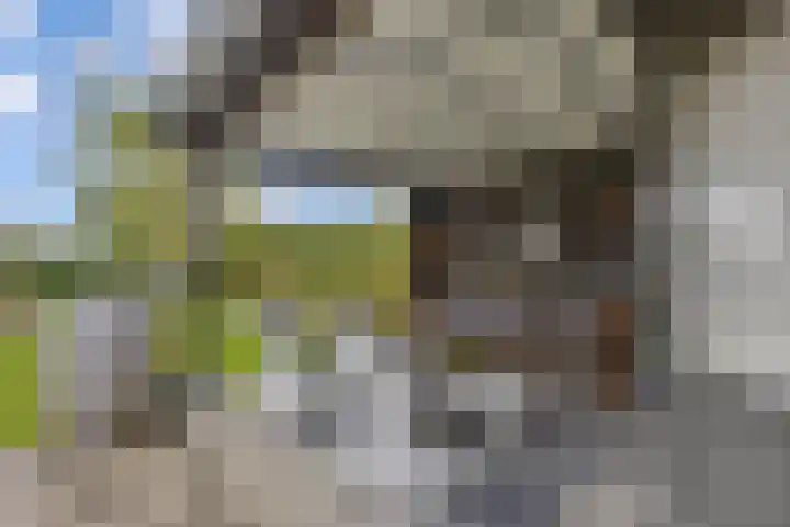 Sergeant 24 Steenwijk thumbnail 43