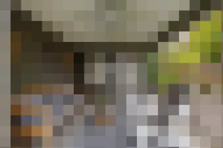 Sergeant 24 Steenwijk thumbnail 44