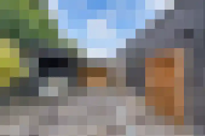 Sergeant 24 Steenwijk thumbnail 45