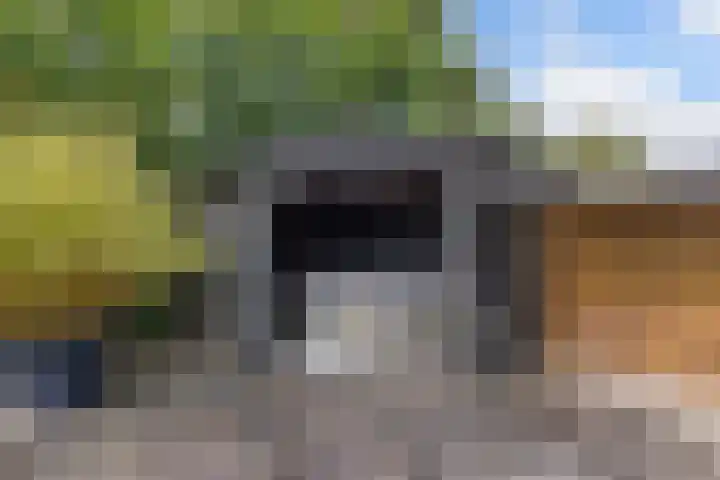 Sergeant 24 Steenwijk thumbnail 46