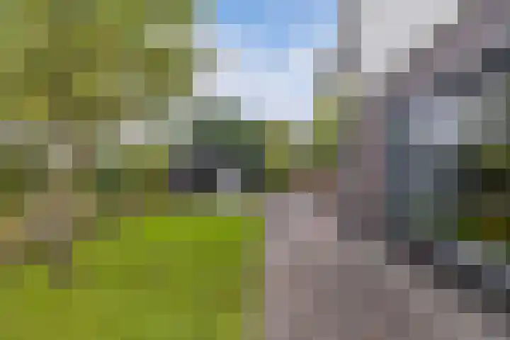 Sergeant 24 Steenwijk thumbnail 47