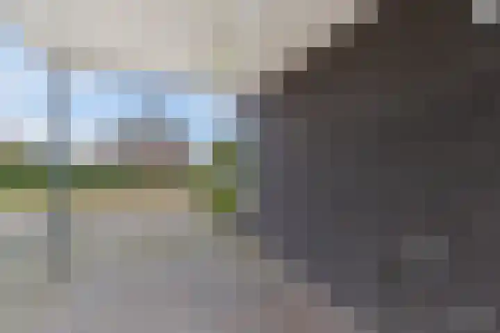 Sergeant 24 Steenwijk thumbnail 52