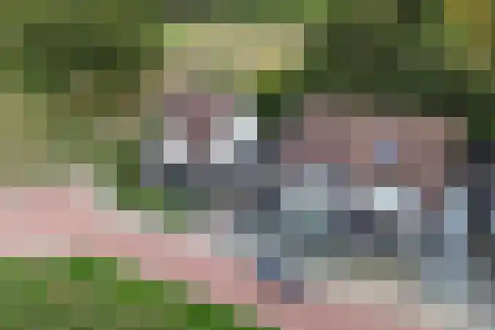 Sergeant 24 Steenwijk thumbnail 53