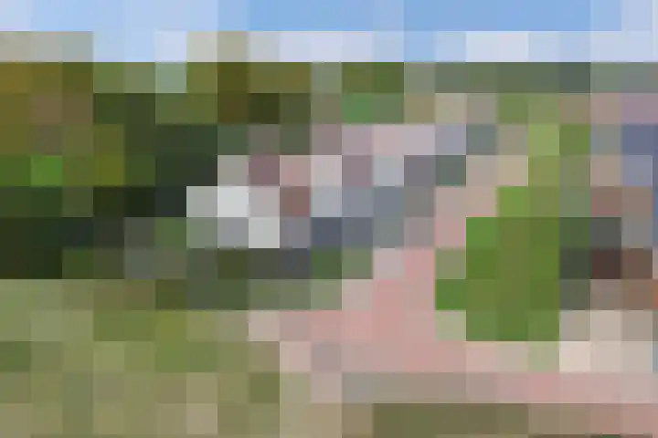 Sergeant 24 Steenwijk thumbnail 56