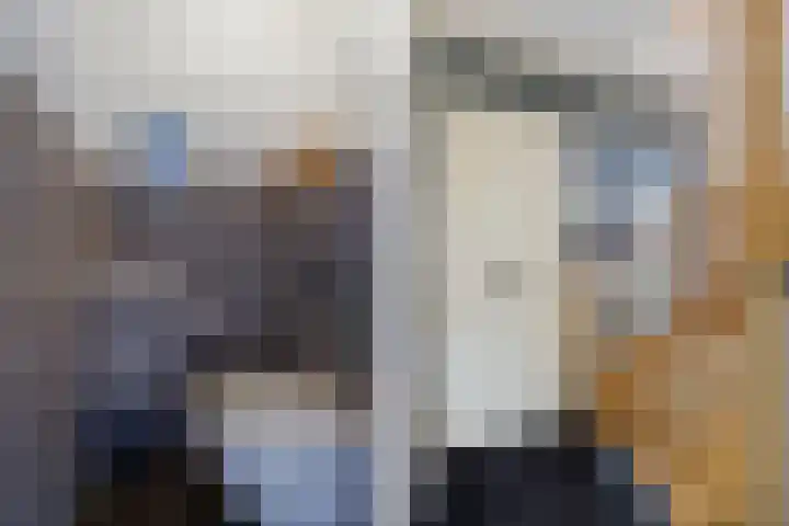 Sergeant 24 Steenwijk thumbnail 6