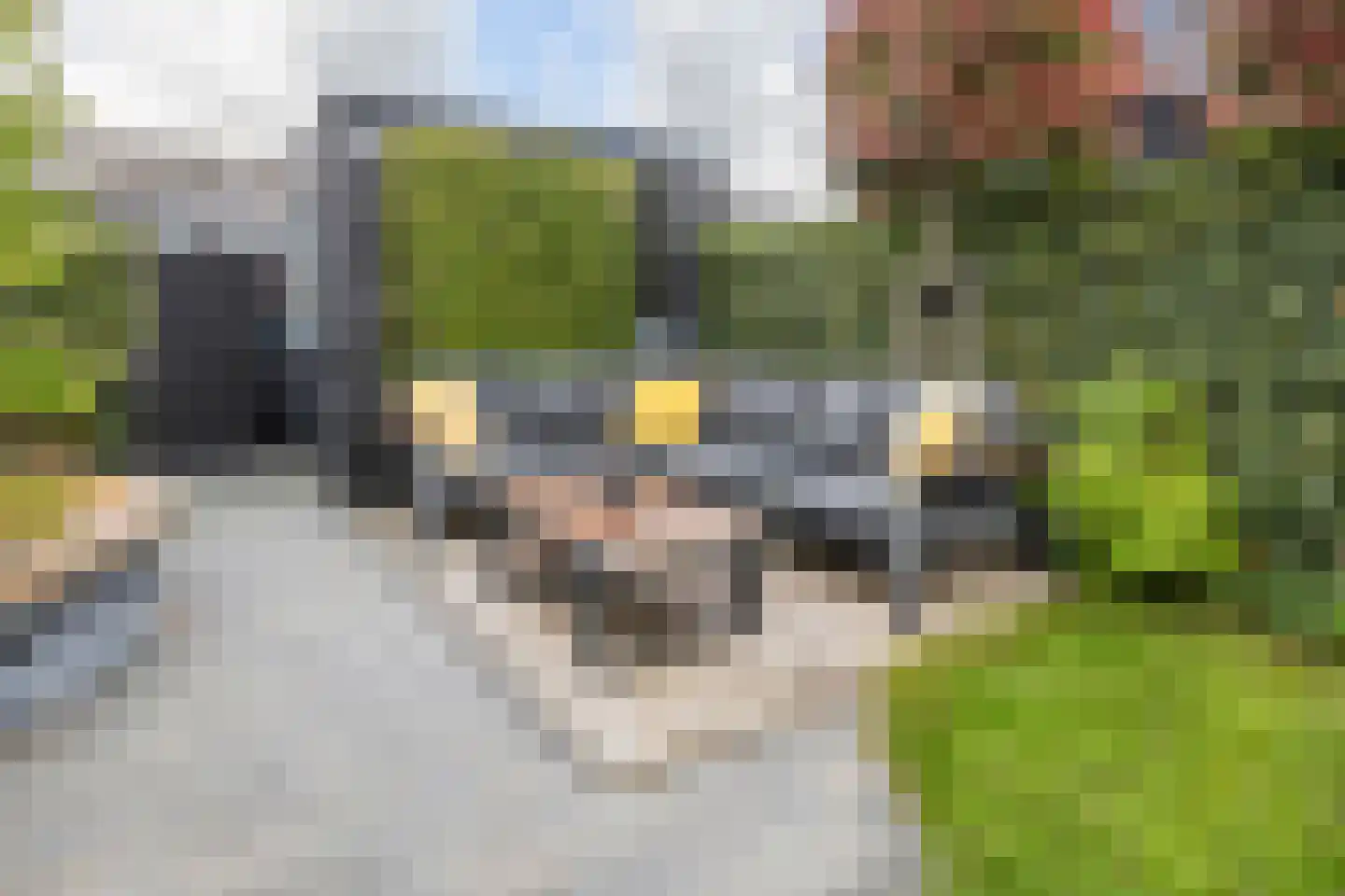 Sergeant 37 Gorinchem thumbnail 13