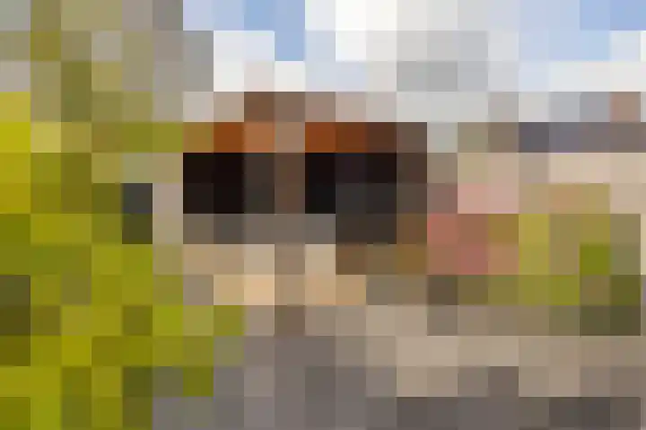 Sergeant 4 Gorinchem thumbnail 15